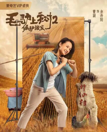 成人在线精品