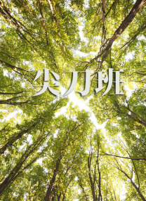 奇米333